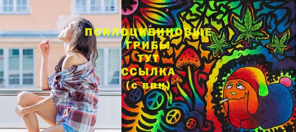 твердый Аркадак
