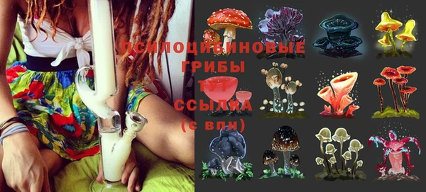 твердый Аркадак