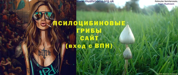 прущая мука Алзамай