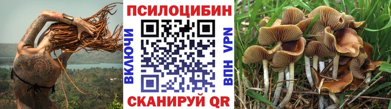 где найти   Новокубанск  Галлюциногенные грибы мицелий 